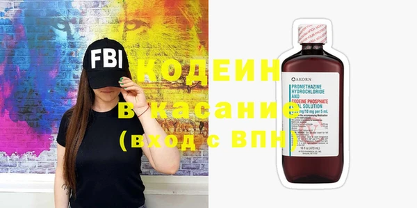 прущие грибы Абаза