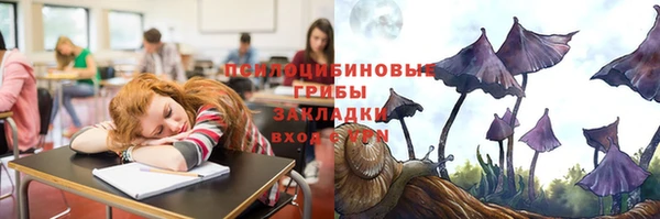 прущие грибы Абаза