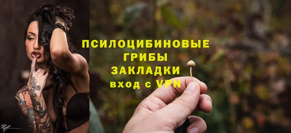ГАЛЛЮЦИНОГЕННЫЕ ГРИБЫ Абинск