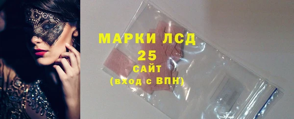 прущие грибы Абаза