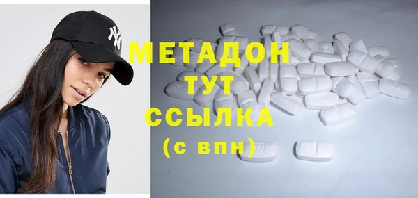 прущие грибы Абаза