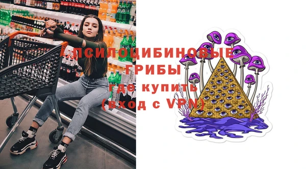 прущие грибы Абаза