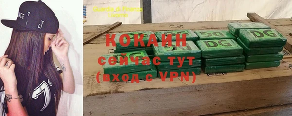 прущие грибы Абаза